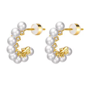 Pearl Hoop Earrings Women's Korean Edition Instagram Personalized Long Style 18K zircon ear buckle Stud Earring Jewelry