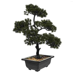 Simulação de flores decorativas Bem -vindo ornamento de bonsai de pinheiro pequenas plantas suculentas vivem falsas casas domésticas verdes ornamentos falsos pinheiros estatuetais