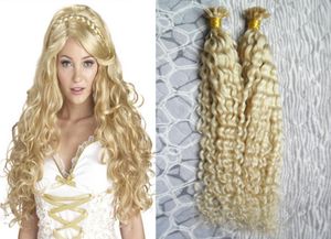 Kinky Curly Blonde Virgin Hair U Tip Hair Extensions 100g 1gstrand natural Pre Bonded Hair On Keratin Capsules Fusion Extensi1363261