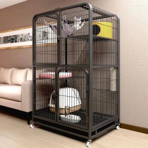 Case CAT CATERS CAGE VIVA TRE PIANO SUPER FREE SPAZIO SPAZIO SCURO CAZZA LUSSO