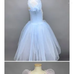 Stage Wear Girls Ballet Skirt Performance Costume Professional Swan Lake Children's Little Tuffy Tulle Dress