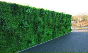Decorazioni 40*60 cm per pareti per piante artificiali Lawn milan eucalipto in plastica di plastica finta prato verde pianta verde decorazione