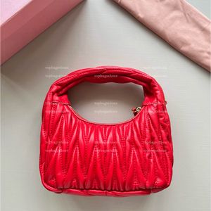 Tasarımcılar Pembe Çantalar Kırmızı Gümüş Kadın Koyun Dinleri Luxurys Küçük Crossbody Messenger Çantalar