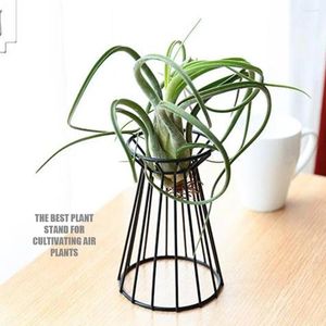 Vases Geometric Air Plant Rack Holder Rustic Centerpiece Display Stand Flowers Pot Bookcase Outdoor Art Craft Decoration