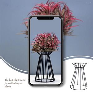 Vases Geometric Air Plant Rack Living Room Bedroom Desk Holder Holiday Stand Pot Bookcase Outdoor Art Craft Ornament