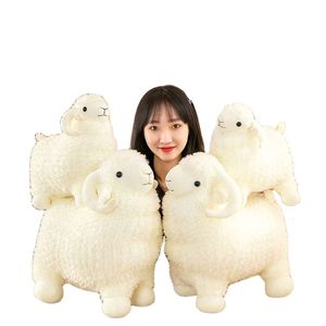 Giochette graziose giocattolo bianco morbido peluche kawaii pecore animali ripieni