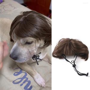 Trajes de gato Pet Wigs Cosplay Props Dog Dressing Hair Conjunto de cabelos Acessórios engraçados da cabeça Prank Supplies DIY