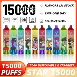 Europe Warehouse Stag Bar 15000 Puffs laddningsbara engångsvapen Vape LED -skärmdånga Shisha Hookah Pen Airflow 15K Puff E Cigaretter Al Crown Star Bar Fakher