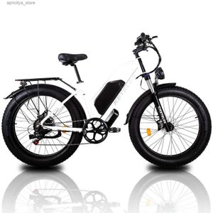 Bike 1000w pieghevole Ectric Bicyc 48V 25 ah Pneumatico grasso Ebike Mountain da 20 pollici Bike Ectric Bike Beach Cycling E Bike L48