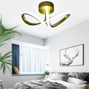 Ceiling Lights Household LED Chandelier 12W Modern Style Lamp Surface Mounted Aisle 110-220V For Balcony Entrance Staircase
