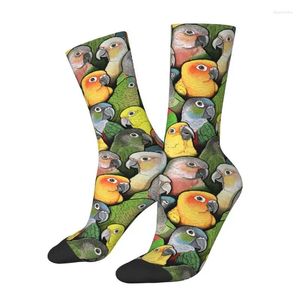 Skarpetki męskie Kolor Conure Birds Mens Crew unisex śmieszne śliczne papugi wiosna letnia jesienna zimowa sukienka