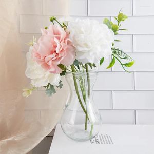 Wazony przezroczysty szklany hiacynt wazon kwiat rośliny butelka garnko ozdoby DIY DECORE