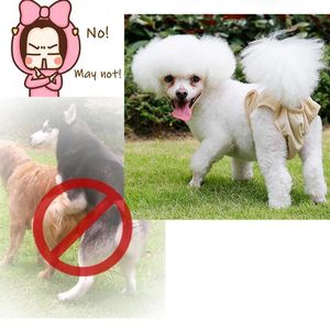 Dog Apparel Diapers Pet Physiological Pants Washable Antibacterial Hygienic Female Shorts Soft Underwear Sanitary Panties For Cats