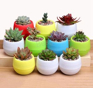 Vasos de flores de jardinagem pequenos berçários coloridos plantadores de flores decoração de jardim plass suculenta vasos de plástico plantadores domésticos fornecedor 3037212