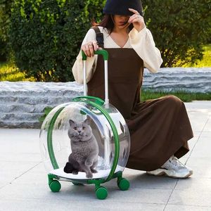 Cat Carriers Crates Houses Trolley Carrier Carrier Pet Pet Carryin Ba Cats Carveins و Catrollers Cat Cat with Wheels Pet Products L49