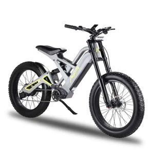 Mukuta Knight 2024 1200W Kit de pneu de gordura de grande potência com bateria 52V 20AH Electric Bicycle Part