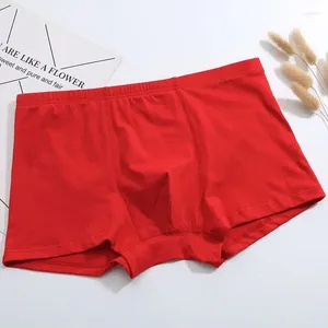 Underpants pugili da uomo Cotton sexy Underwear Mancciale maschi Shorts U Casa convessa per il rosso gay