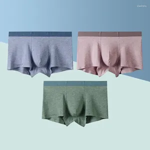 Unterhose hochwertige Modeunterwäsche Männer nahtlos bequeme Boxer Shorts Solid Bambus Faser Höschen Großhandel / Drop