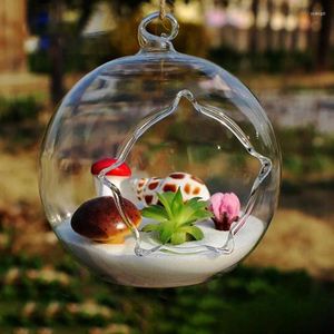 Vaser glas hängande luft ormbunke hållare terrarium växter hängare planter diy hem blomma vas