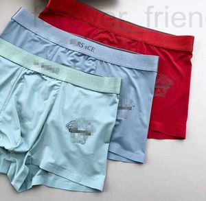 Underpants Designer Fashion Designer SexyMen Boxer Underwear Modal Mens Cotton Bowable Shorts Manliga trosor Boxershorts Lingerie 3 Pieces Boxer Size L-XXXL 95JL