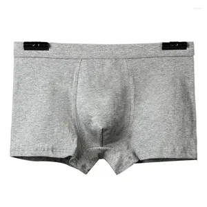 Underpants 5 Pcs/lot Boxer Men Cotton Man Short Breathable Solid Flexible Shorts Colorful Vetement Homme