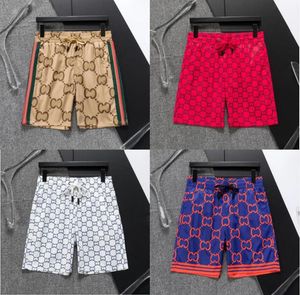 2024 new men's designer beach swimming trunks Quick dry vacation luxury brand men's pants clothing