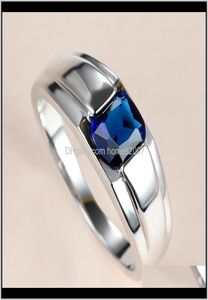 Jewelrysimple Male Female Blue Crystal Ring Charm Sier Color Wedding Classic Square Zircon Stone Engagement Rings For Women Men Dr5607272