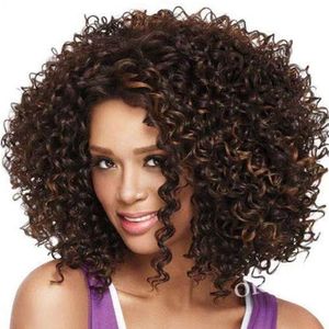 human curly wigs Fashion chemical fiber high temperature silk small curl explosive head hair female wig full head cover