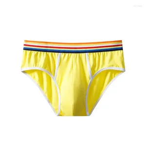 Underpants Large Size Men's Panties Cotton Rainbow Belt Soft Breathable Sexy Briefs U Convex Pouch Youth Mid Waist Underwear