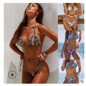 New Swimsuit Print Split Bikini Swimsuit Women's Sexy Triangle Women's Swimsuit Bikini