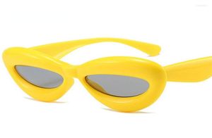 Solglasögon retro katt ögon godis färg kvinnor mode märke designer ovala lins nyanser uv400 män gula rosa solglasögon9296668