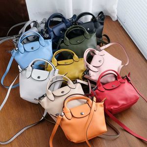 Detaljhandels grossistdumpling purses crossbody butikspåsar 95% rabatt handväska designer handväska franska lammskinn cross wing saccoche väska lamm hud mini handväskor 6kxp