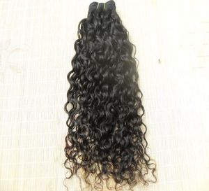 Nuova stella Brasiliana Curly Curly Trapini Queen Curlyl Weaves non trasformati a colore nero arricciatura Extensions umano può essere tinto 8363721