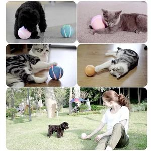 Pet Cat Oyuncak Kablosuz Akıllı Uzaktan Kontrol RC Elektrikli Kedi Top Oyuncak Kedi Köpek Yavru Köpek Çocukları için Led Yanıp Sönen Işıklar Çocuk Oyuncak 240418