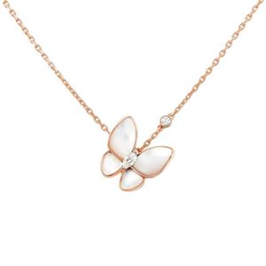 Designer Brand Van Van New Butterfly Fritillaria Neckace Womens Edition Edition Orecchini in oro placcati in oro con logo