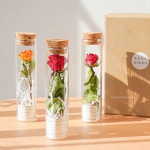 Garrafas jarra de vidro de planta de flor com rolhas de cortiça insere a decoração de casa clara de suprimentos de casamento presente para amigos