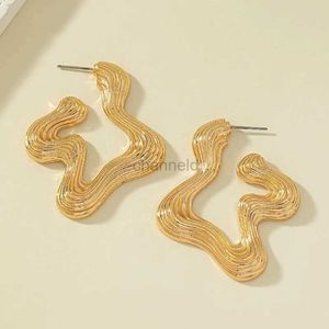 Other Irregular Metal Hoop Earrings For Women Geometry Retro Exaggerated Ear Accessories Holiday Party OL Fashion Jewelry E449 240419