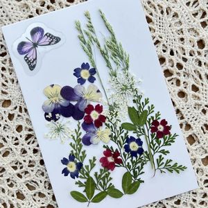 Fiori decorativi 1Bag Natura Pressata Dry Ture Flower Plant Faiy Holiday Art Bookmarks Card Castolo Guida Telefono Custodia Flore