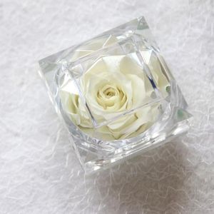 Dekorativa blommor Bulkgodis aldrig visnade rosen bevarade färska blommig gåvor årsdag flickvän mamma