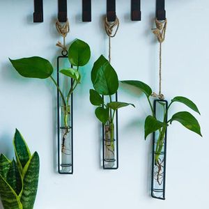 Vases Creative Glass Vase Rope Pendant Living Room Wall Hanging Hydroponic Green Dill Plant Container Decoration