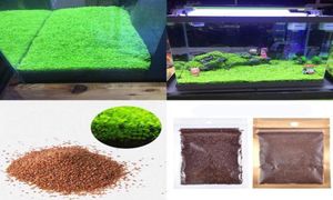 Aquarium Plant Seed Fish Tank Aquatic Aquatic Plant Seed Easy Aquarium Landscaping Decorative12917056