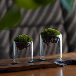 Vases Mini Clear Glass Table Vase Small Flower Bud Hydroponics Planter Grass For Party Home