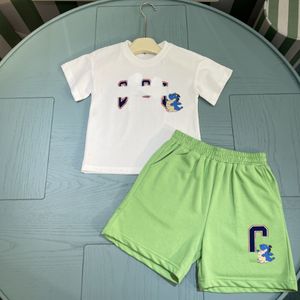 Nya korta ärmkläder pojkar flickor sommardräkt för små medelstora barn tvådelar barn t-shirt shorts kläder sätter lite färsk akademi stil cad24042002