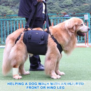 Przenośna zawiesia psów na tylne nogi Wsparcie Ubezpieczenie Ubezpieczenie Starsze utykanie psu pomocy pies wspomagają rehabilitacja Własność smyczy 240417