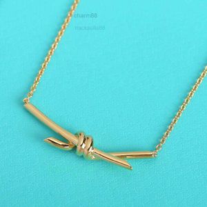 Lm s Sterling Sier Necklace Designer Consume Charms South Plant Jewelry Nurse Gift Sailormoon V6zv