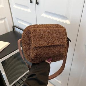 Kvällspåsar 2024 Plush tyg Kvinnor axel crossbody små lamm ull fluffy päls vinter kvinnlig designer handväskor