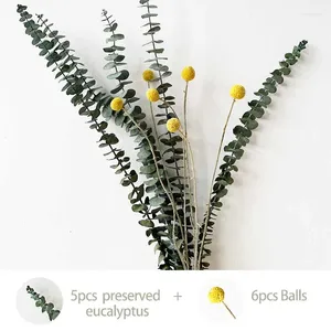 Decorative Flowers Tail Grass Lagurus Ovatus Dried Eucalyptus Leaves Branches Real Cotton Billy-Ball For Home Decor