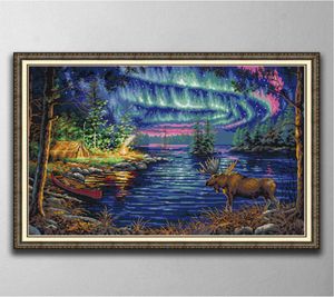 Northern Lights Handgjorda Cross Stitch Craft Tools broderiedelsuppsättningar räknade tryck på duk dmc 14ct 11ct heminredning smärta1244870