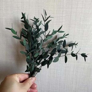 装飾的な花天然保存されたユーカリの葉12pcs/10-20cmの本物の小さな乾燥枝DIY diy diy diy