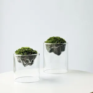 Vasen Knospen Clear Glass Blume Vase Gras klein für Wohnkultur Mittelstücke Office Tisch Hochzeitsempfang